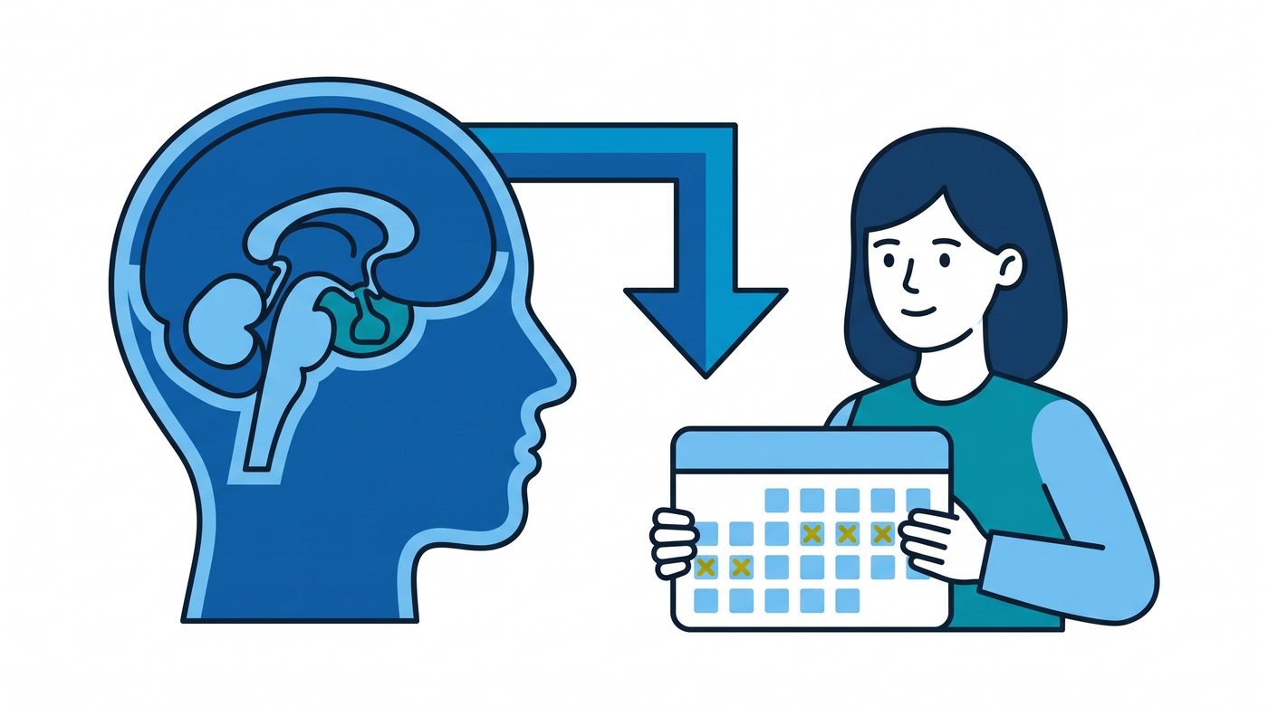 Illustration: the pituitary gland in the brain signalling to a woman checking her period calendar